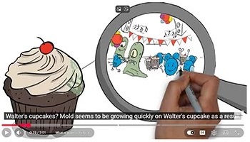Measuring Unbound Water in Walter’s Cupcake – and Extending Shelf Life - A Concept That Applies Across Industries